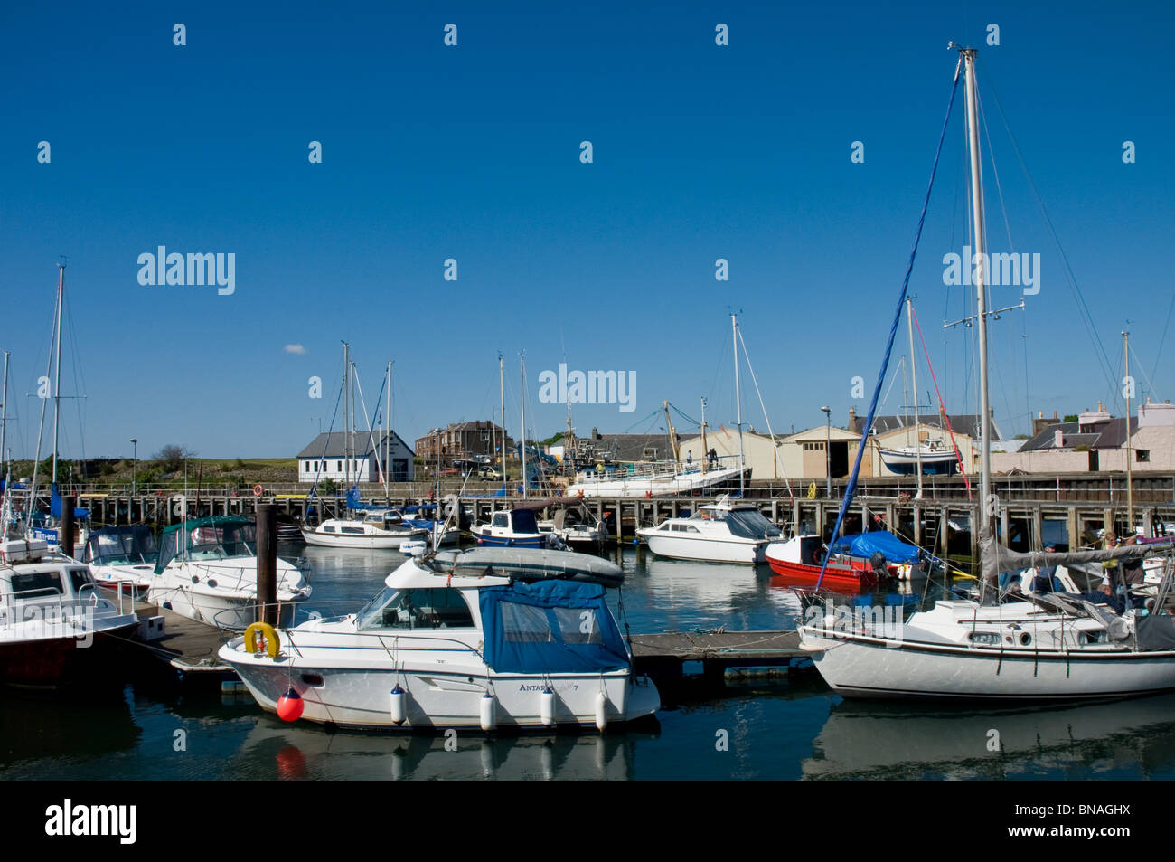 Boote & Yachten im Hafen Girvan South Ayrshire, Schottland Stockfoto