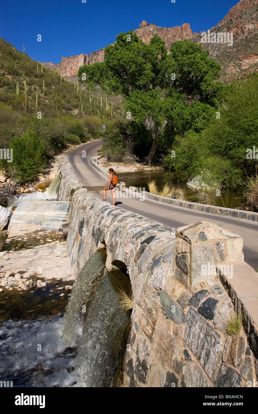 Wanderer hält an Sabino Creek, Sabino Canyon Recreation Area, Tucson, Arizona. (Modell freigegeben) Stockfoto