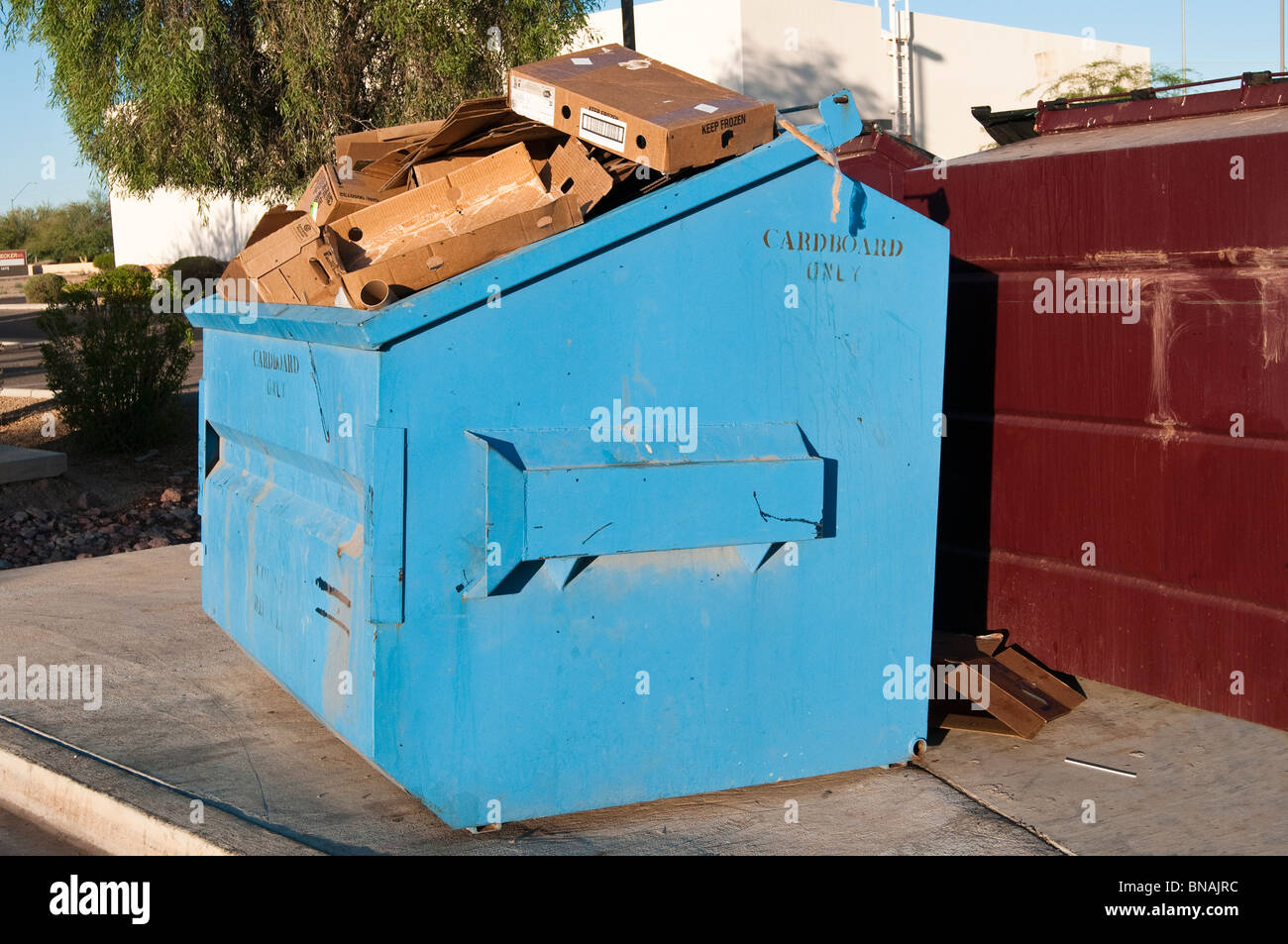 Ein blauer Müllcontainer für Karton sammeln nur gefüllt und entleert werden kann. Stockfoto