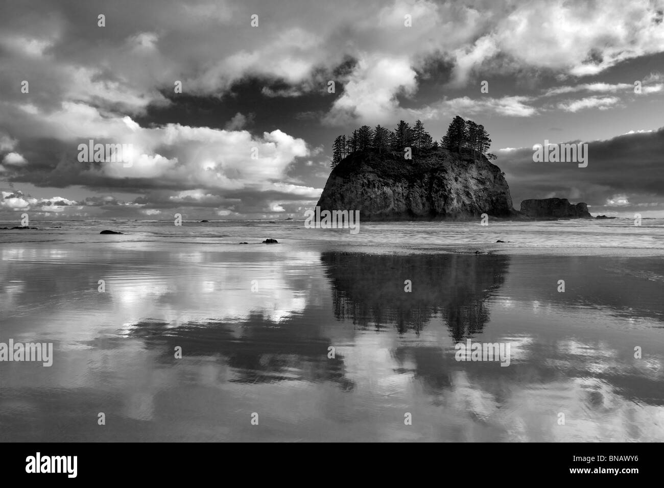 Bei Ebbe Reflexion von Weinen Lady Rock am zweiten Strand. Olympic Nationalpark, Washington Stockfoto