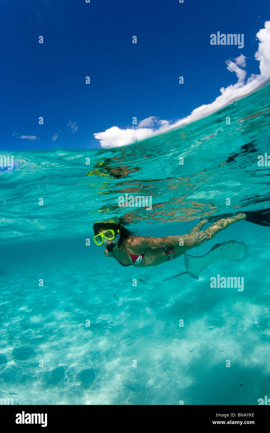 Schnorchler im flachen Wasser. Stockfoto