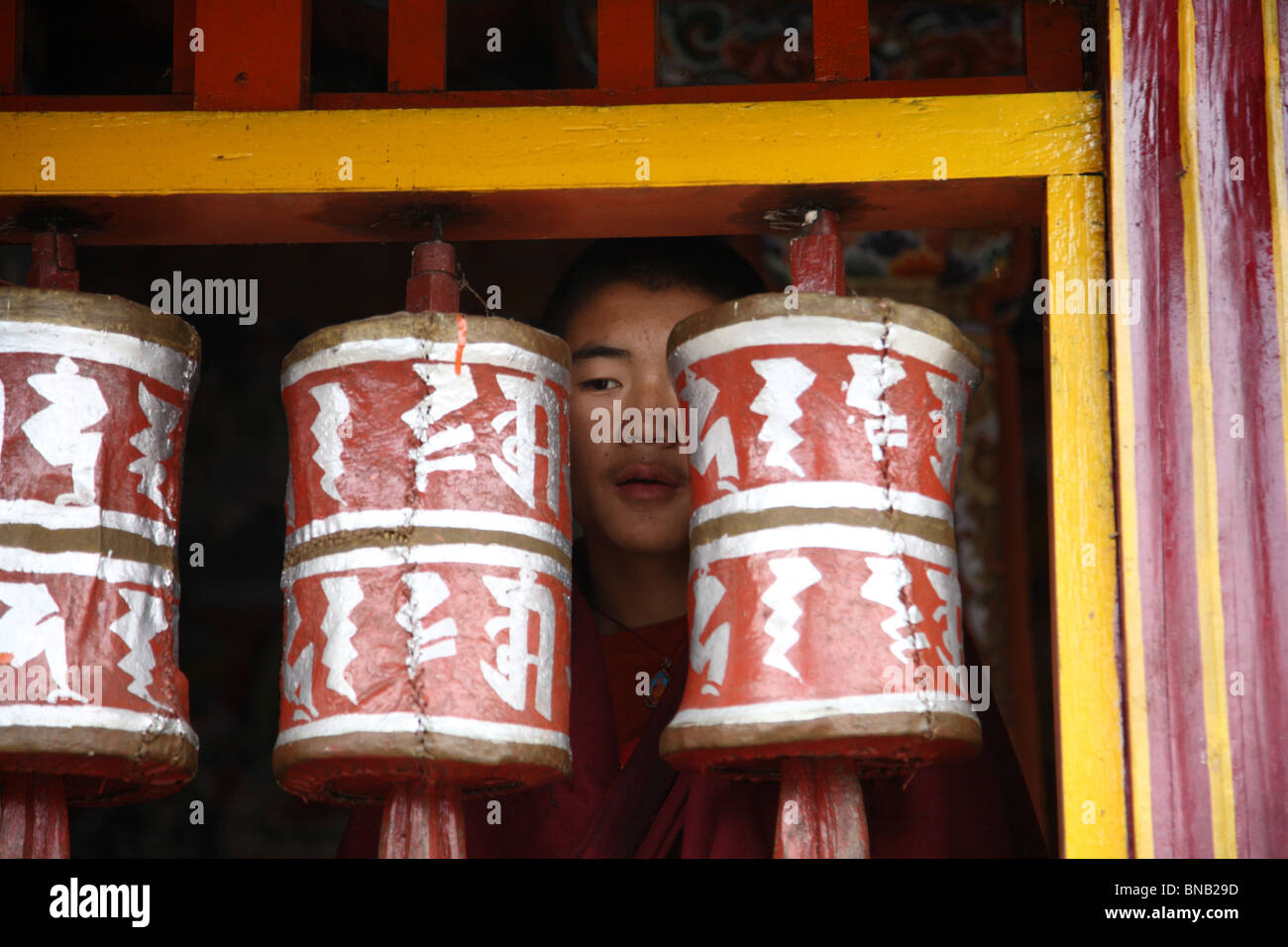 Das Gesicht eines jungen Auszubildenden Mönchs spähte neugierig durch eine Reihe von Gebetsmühlen in Labrang Kloster, Sikkim, Indien. Stockfoto