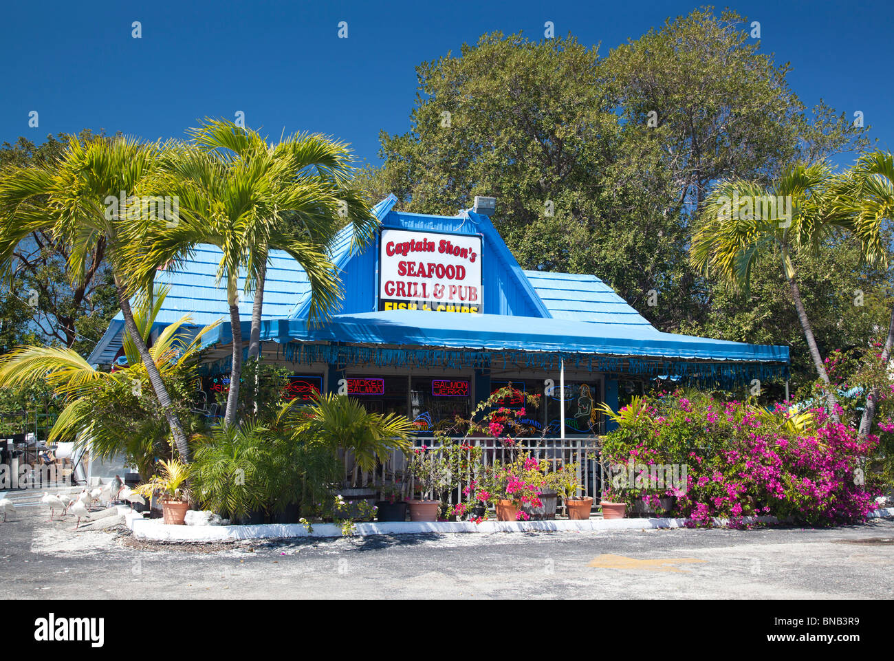 Captain Shon Seafood Grill & Pub, Key Largo, Florida, USA Stockfoto