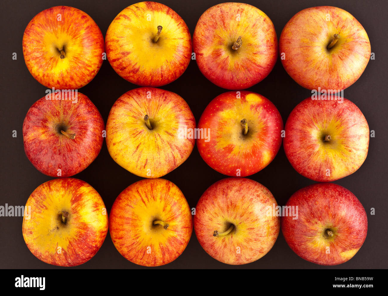 Zwölf rote Äpfel in Reihen Stockfoto