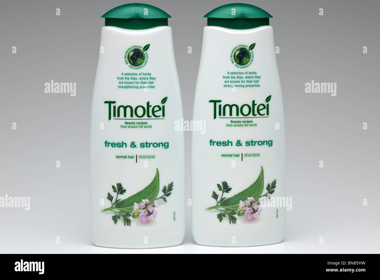 Zwei Container Timotei Shampoo Stockfoto