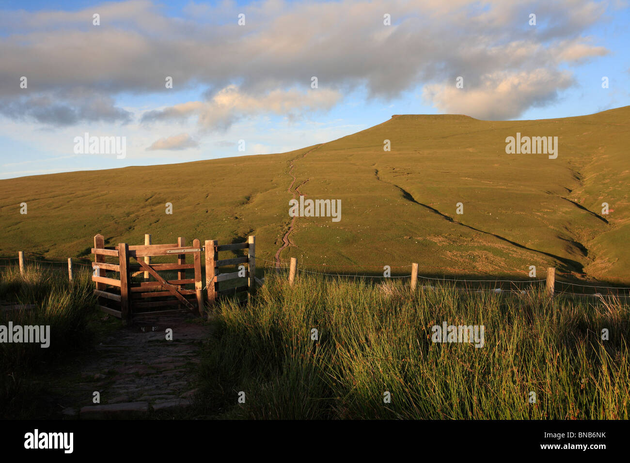 Mais, Du Gipfel, Brecon Beacons, Wales, UK Stockfoto