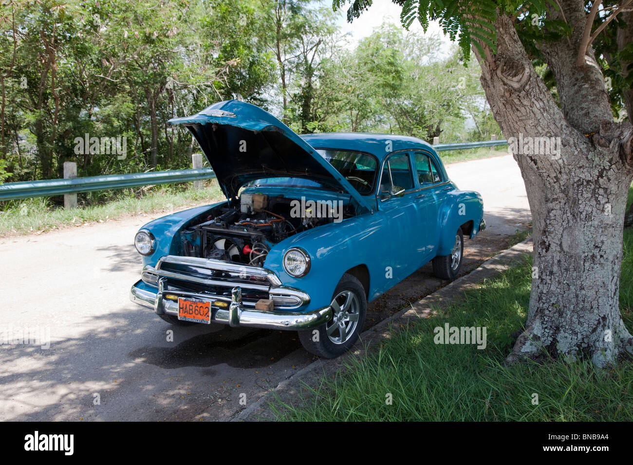 alten Chevy unter schattigen Baum mit Haube abgestellt. Stockfoto