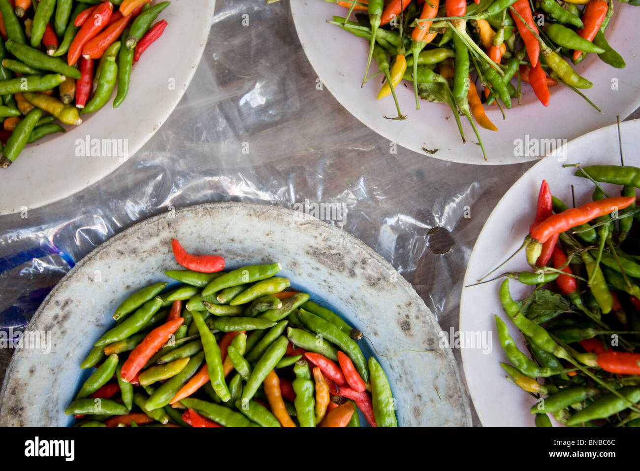 Platten aus bunten grünen und roten heißen Chilis auf einem Markt in Bangkok, Thailand Stockfoto