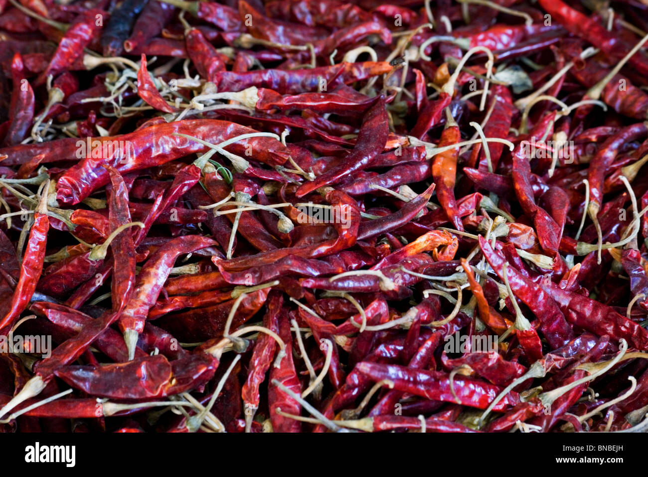 Getrocknete rote Chilischoten Stockfoto