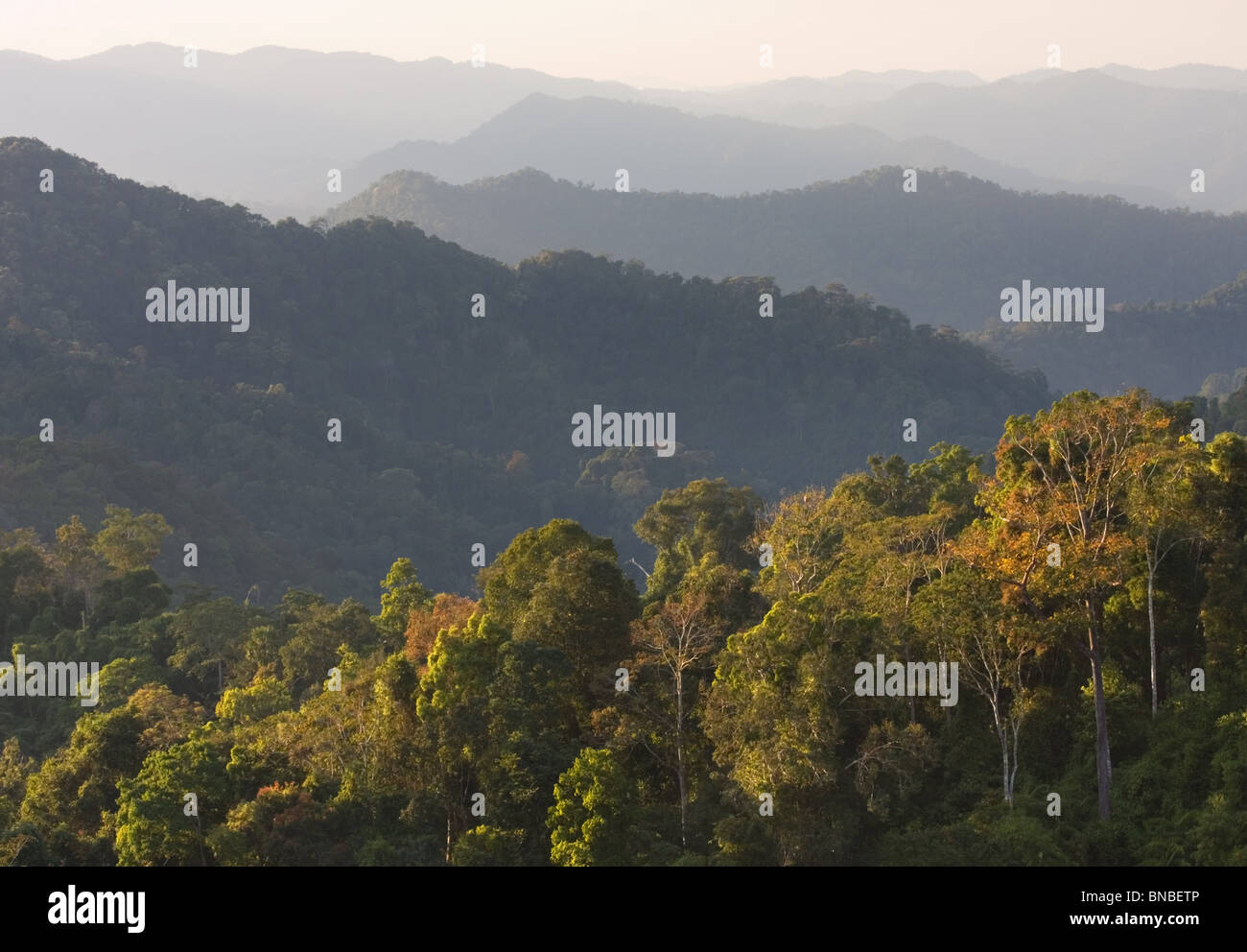 Regenwald bedeckt Hügel, Kaeng Krachan National Park, Thailand Stockfoto