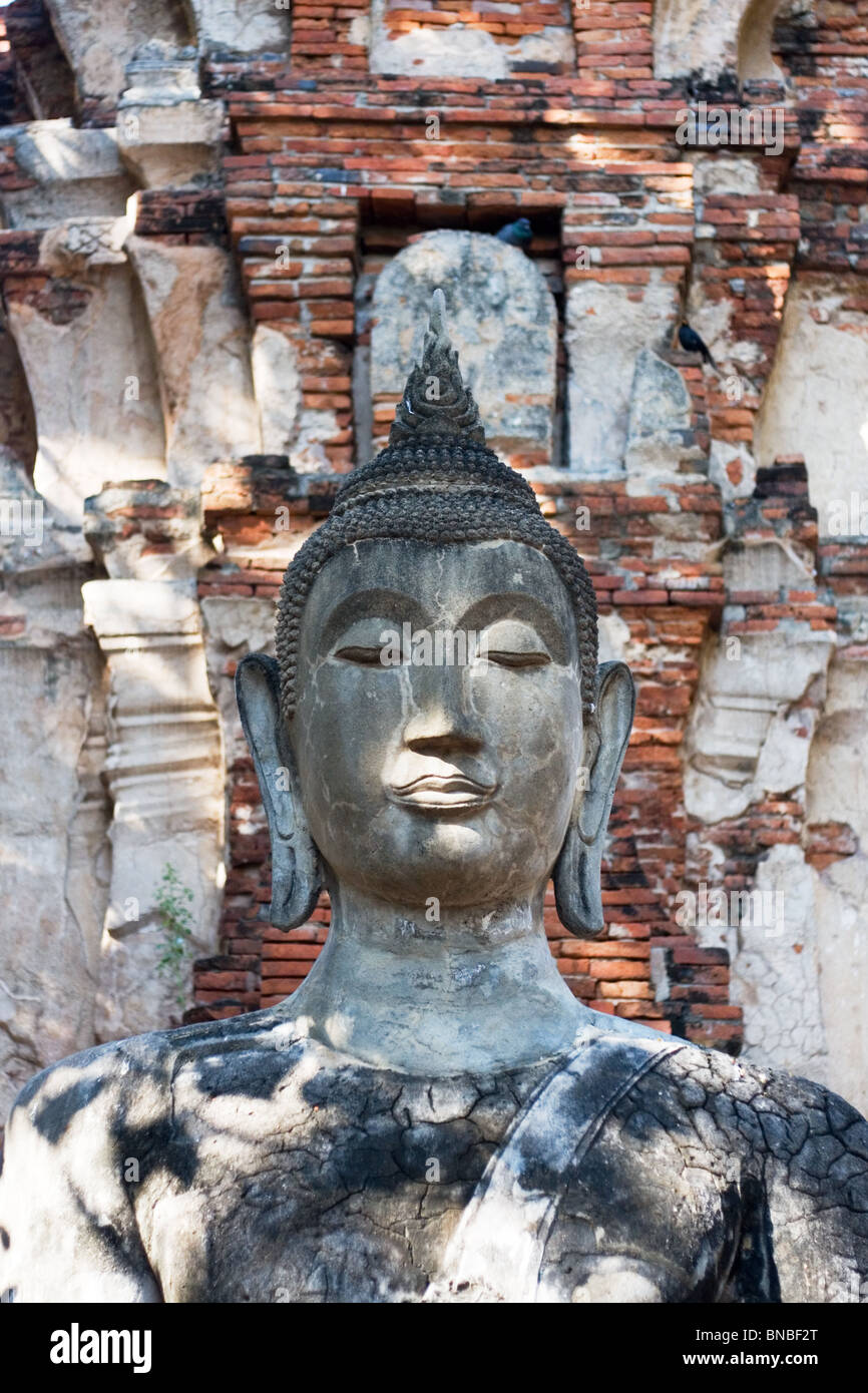 Buddha-Statue, Wat Mahathat Ayutthaya, Thailand Stockfoto