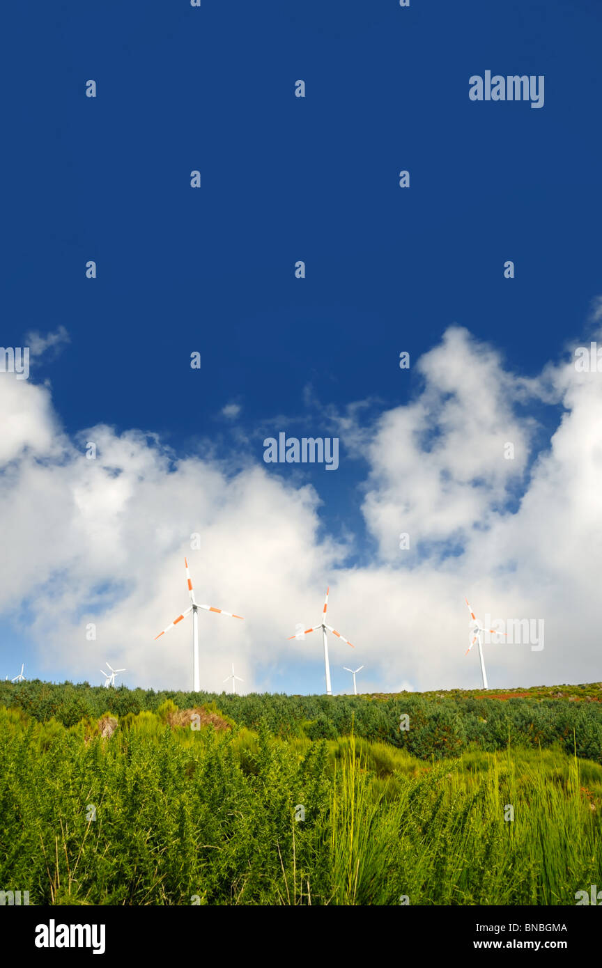 Äolisch Turbinen – Paul de Serra, Madeira Stockfoto