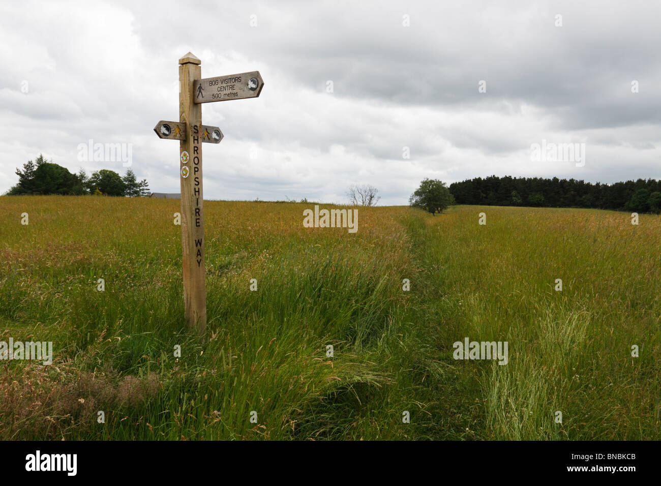 Ein Wegpunkt auf dem Shropshire Weg Stiperstones. Stockfoto