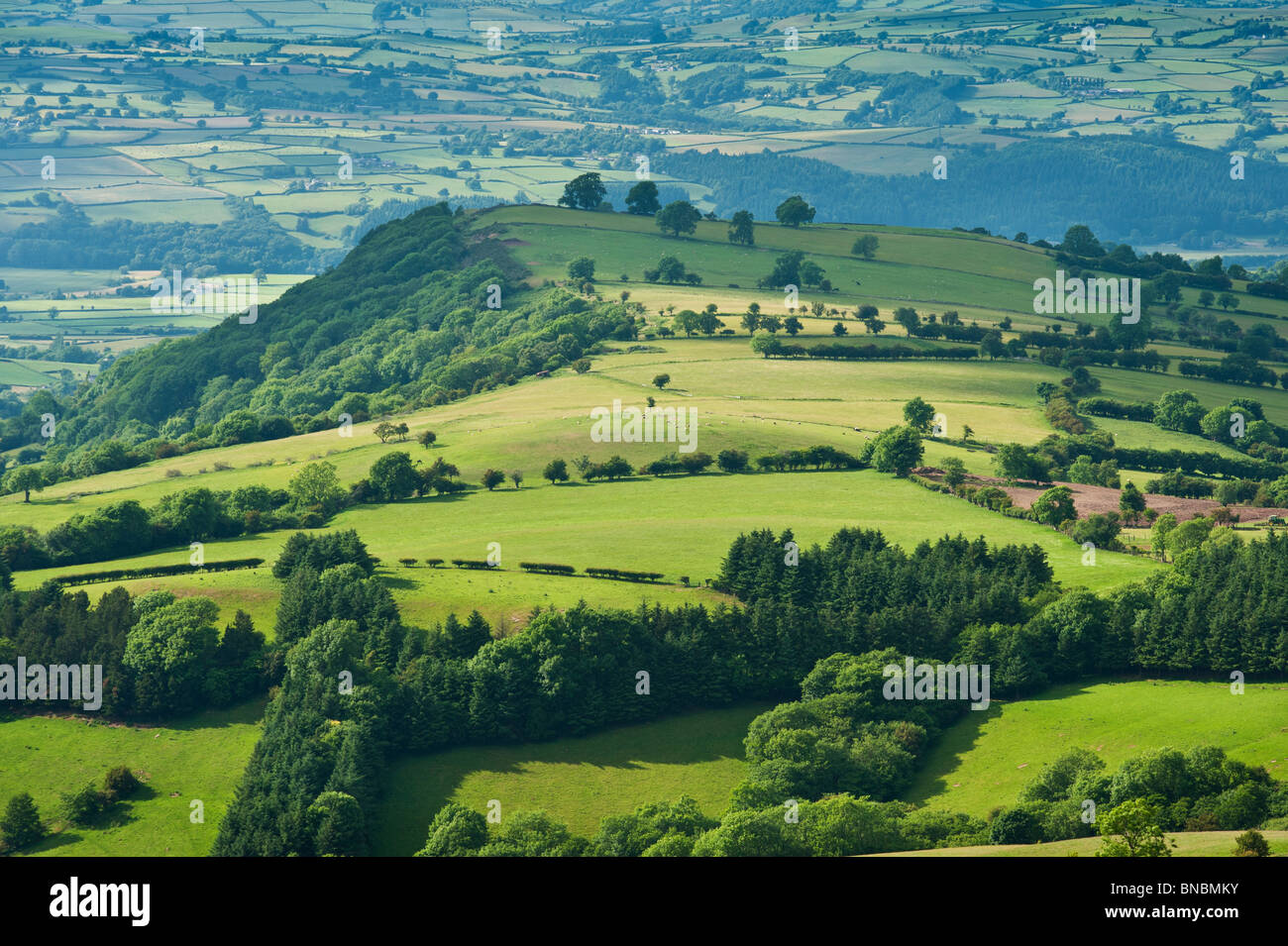 Landschaft im ländlichen Raum unter Heu Bluff, Brecon Beacons National Park, Wales Stockfoto