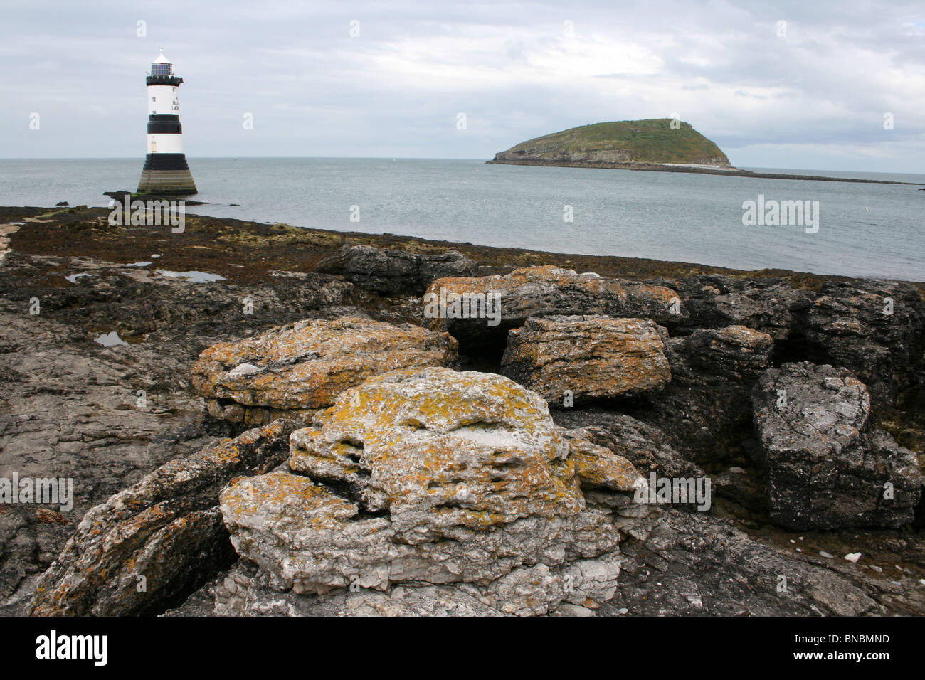 Leuchtturm und Puffin Insel am Penmon Punkt, Anglesey, Wales, UK Stockfoto