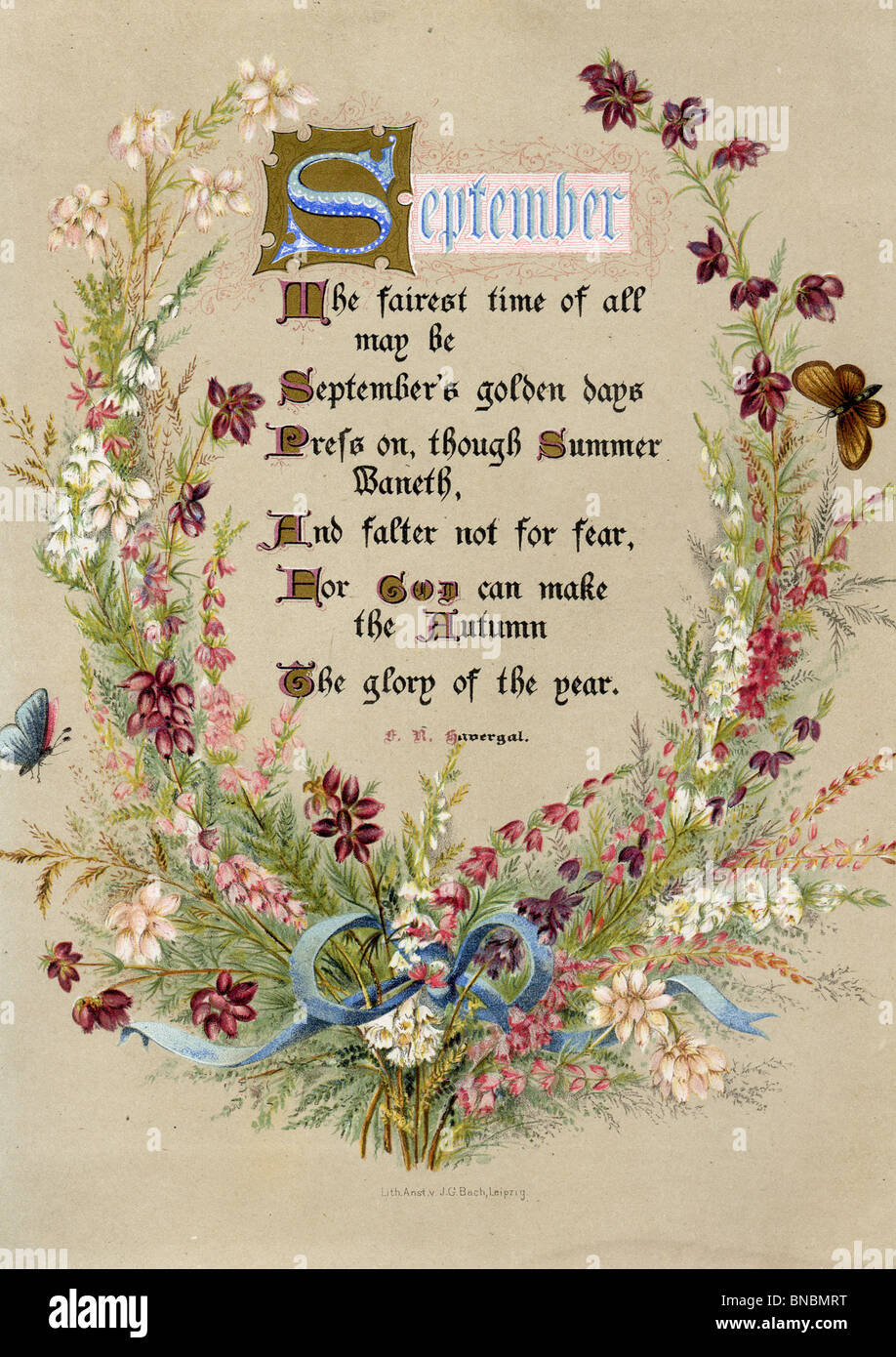 SeptemberGedicht mit Blumen und Schmetterlingen Stockfotografie Alamy