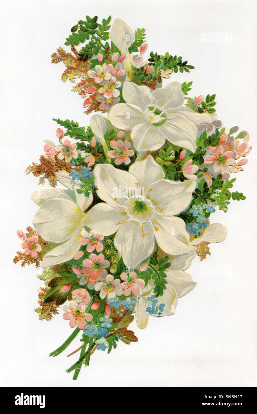 Narzissen, Hundsrose und Vergissmeinnicht Stockfoto