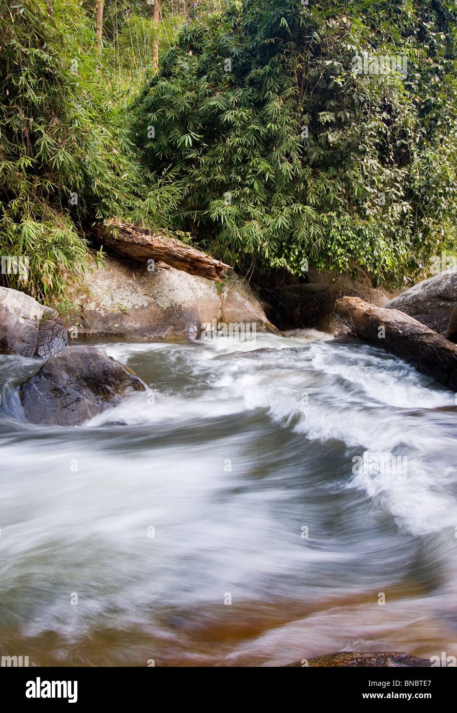 Fluss-Strom fließt durch montane Rainforest, Doi Inthanon Nationalpark, Provinz Chiang Mai, Thailand Stockfoto