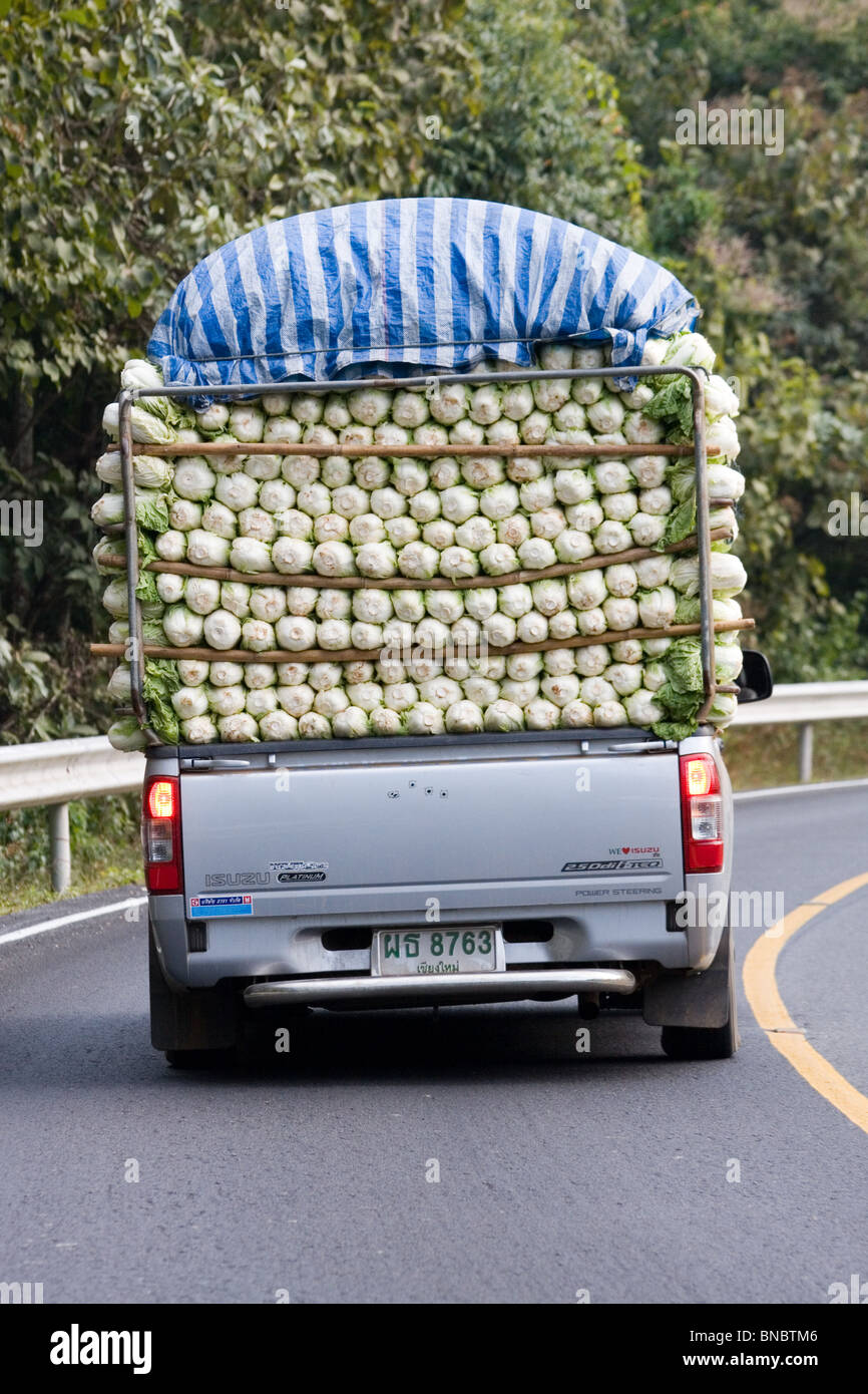 Fahrzeug Transport von grünem Gemüse, Doi Inthanon, Thailand Stockfoto