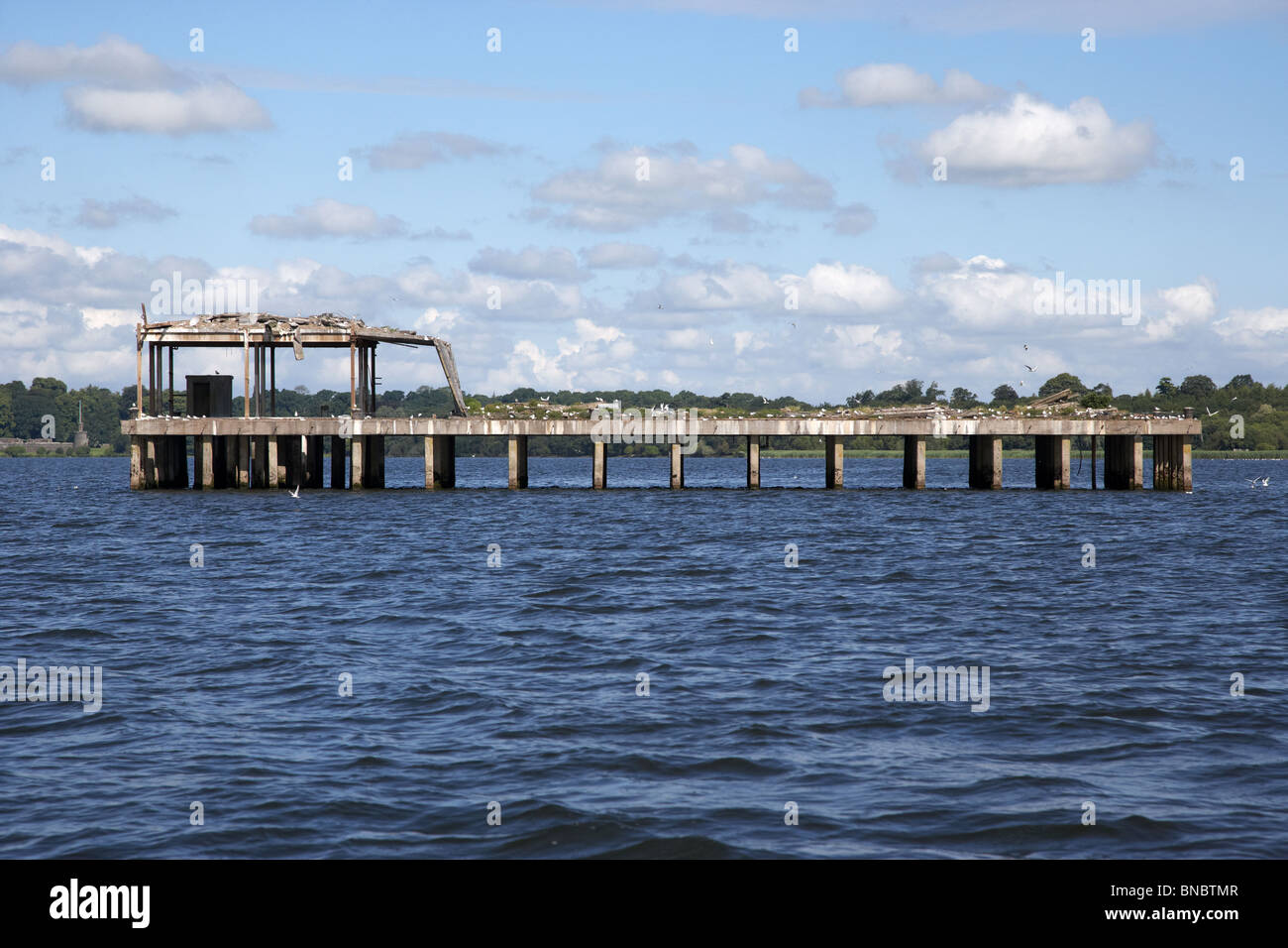 ehemalige 2. Weltkrieg II torpedieren Produktion Test Station jetzt eine gemeinsame Seeschwalbe Kolonie Naturschutzgebiet am Lough neagh Stockfoto