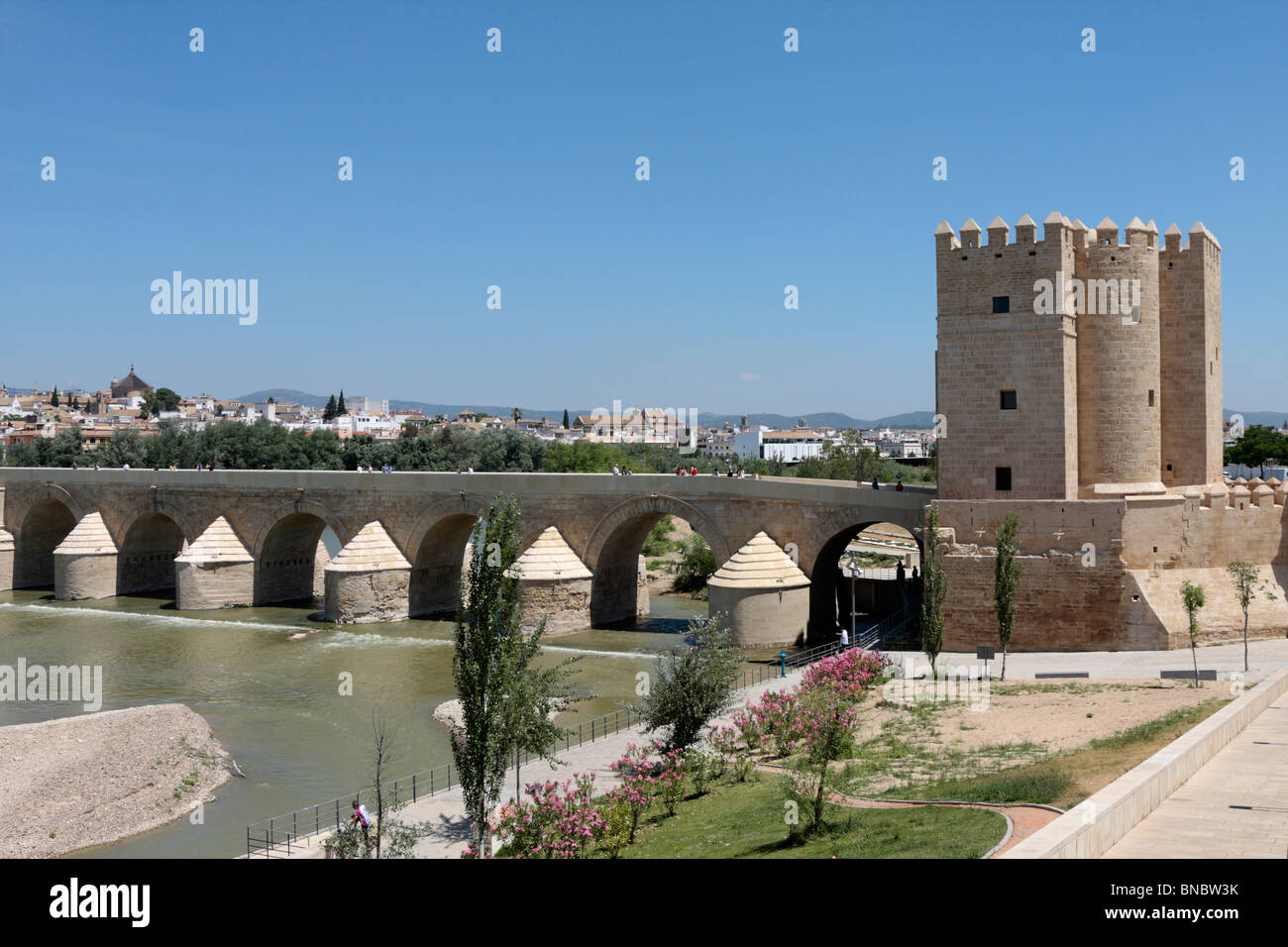 Die Brücke Puente Romano und Torre de Calahorra in Cordoba Andalusien Spanien Europa Stockfoto
