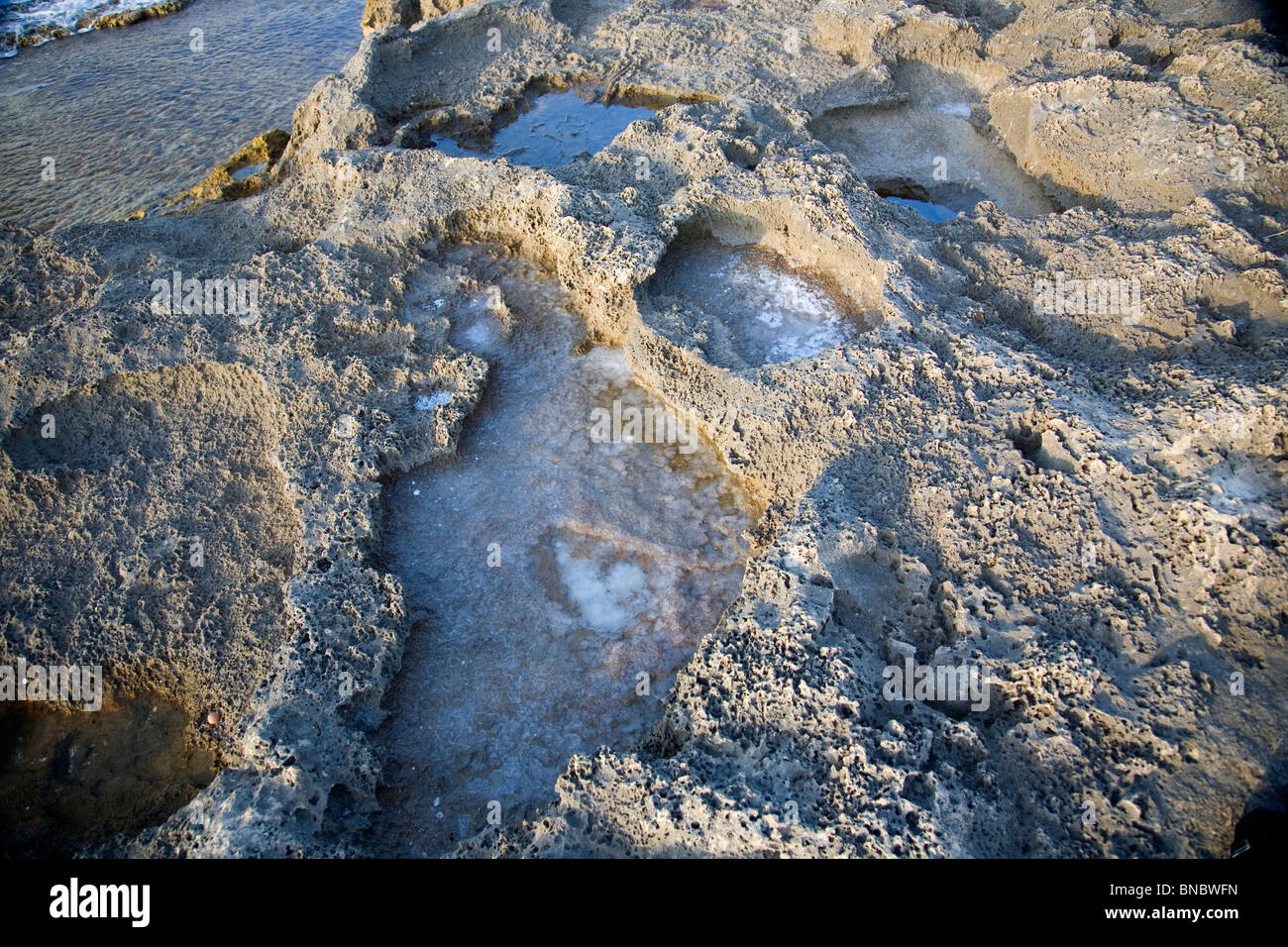 Felsformationen / Erosion in Dor Beach - Israel Stockfoto