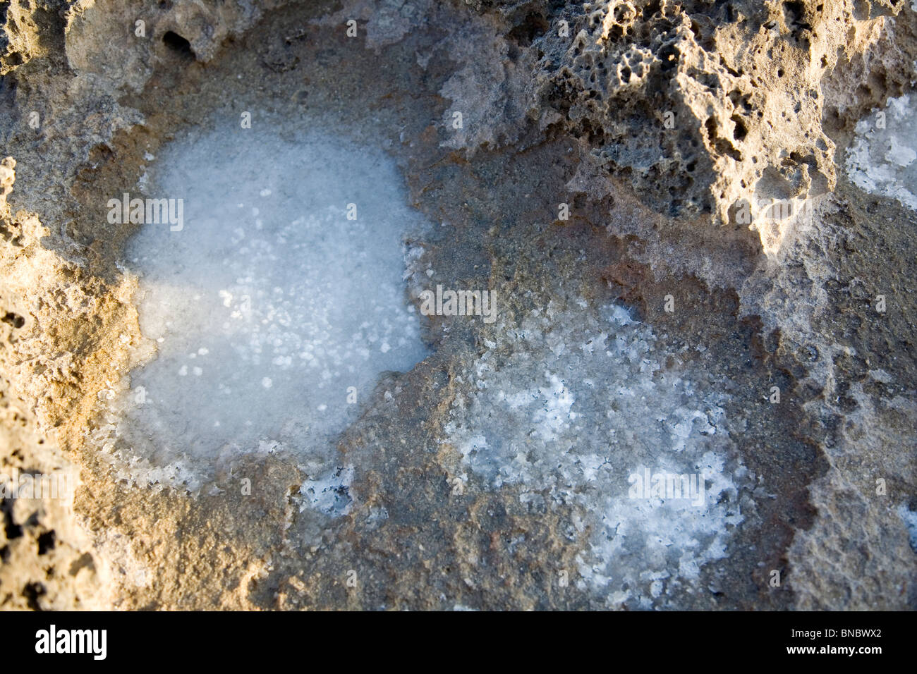 Felsformationen / Erosion in Dor Beach - Israel Stockfoto