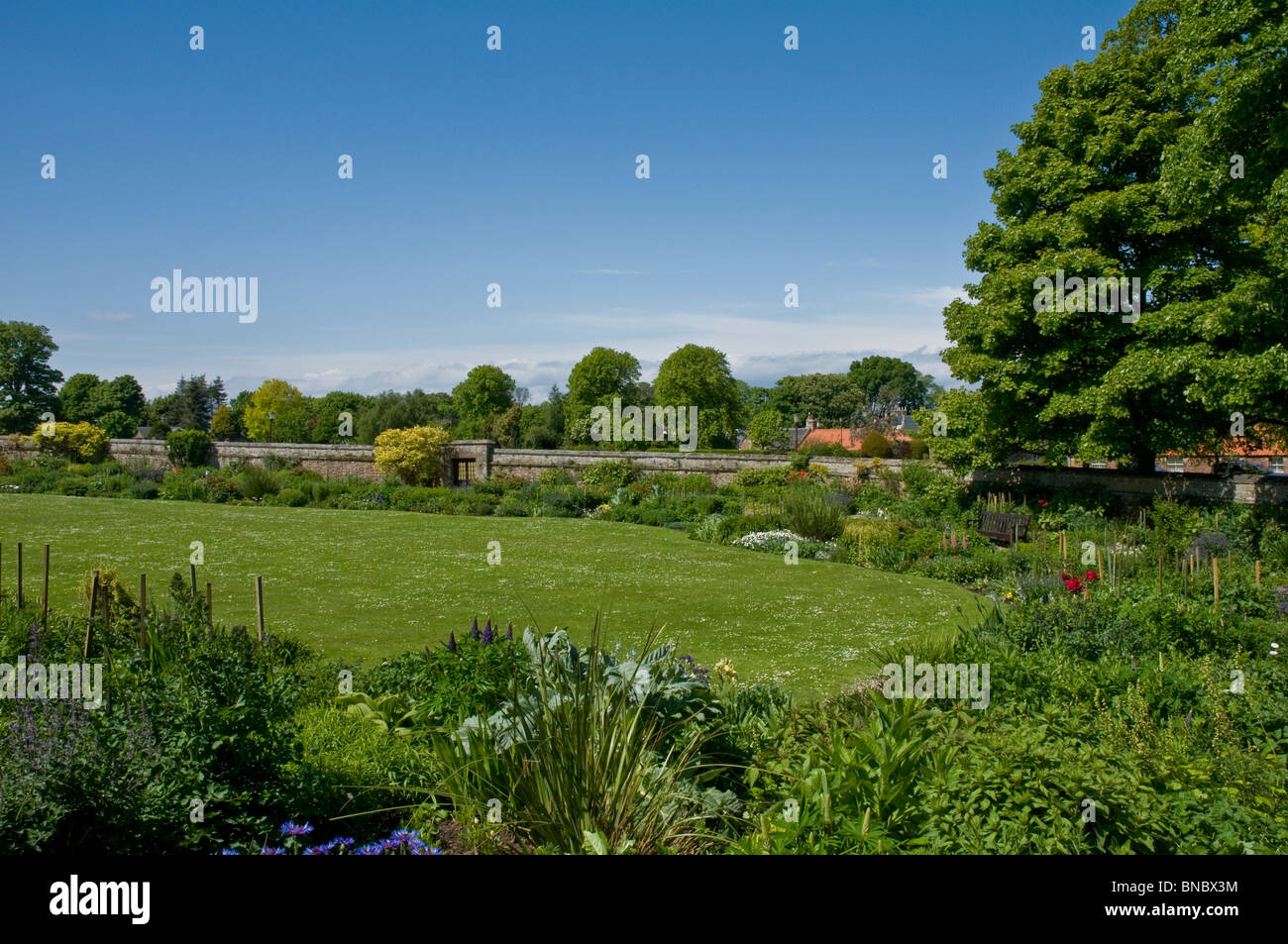 Ummauerten Gärten Dirleton Castle East Lothian Schottland Stockfoto