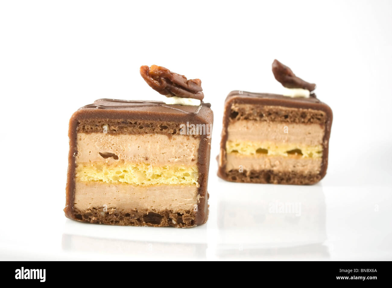 Zwei Petits Fours mit Schokolade Zuckerguss garniert mit einem Pecan und isoliert auf weißem Hintergrund. Stockfoto