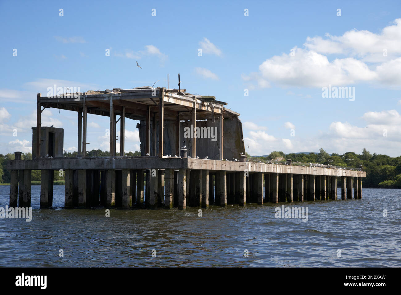 ehemalige 2. Weltkrieg II torpedieren Produktion Test Station jetzt eine gemeinsame Seeschwalbe Kolonie Naturschutzgebiet am Lough neagh Stockfoto