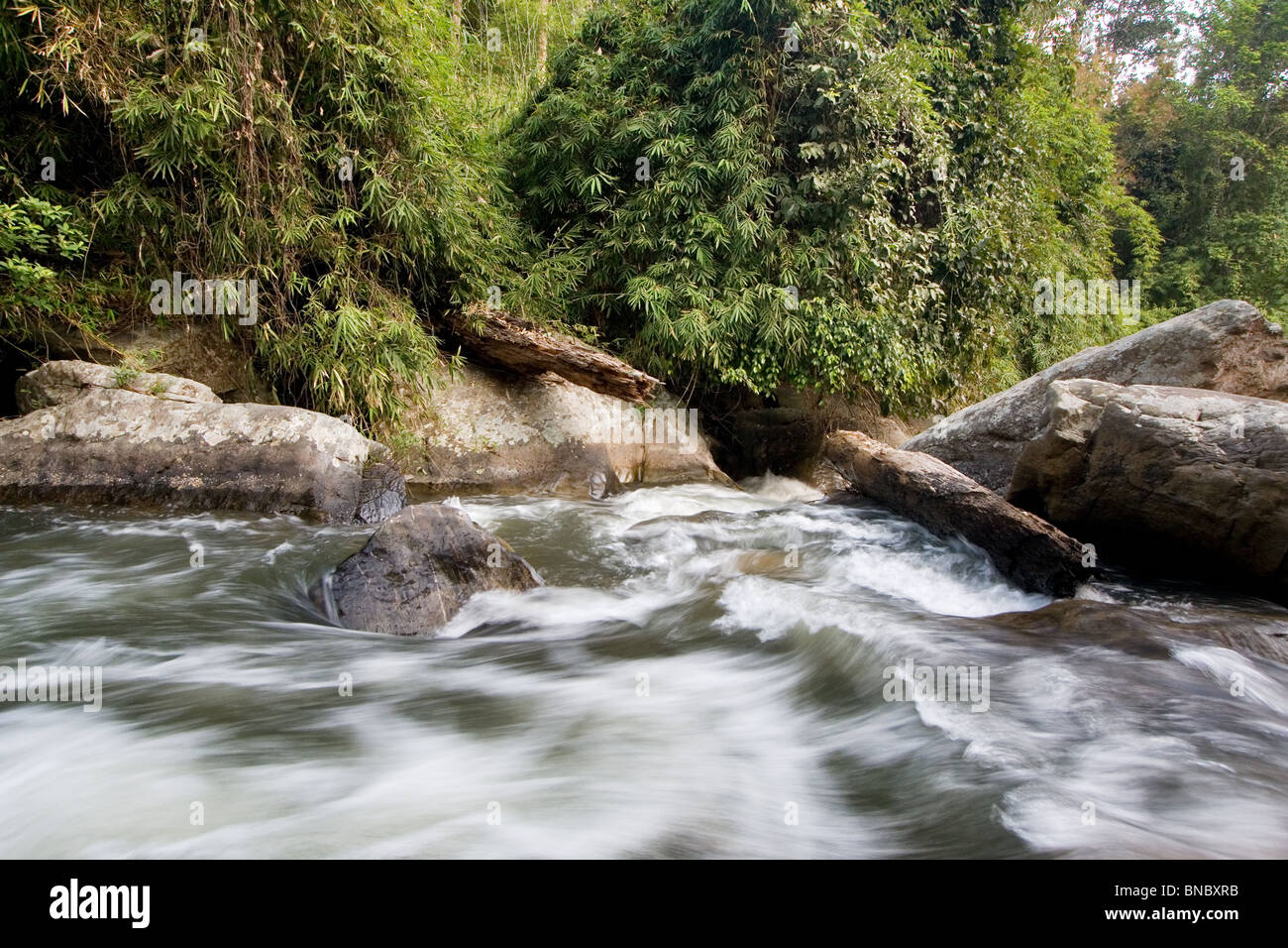 Fluss-Strom fließt durch montane Rainforest, Doi Inthanon Nationalpark, Provinz Chiang Mai, Thailand Stockfoto