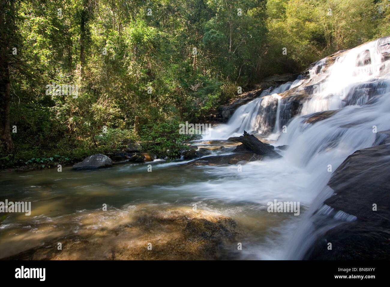 Regenwald Wasserfall, Doi Inthanon Stockfoto