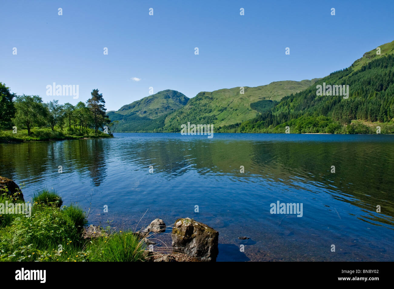 Loch Eck nr Dunoon Cowal Halbinsel Argyll & Bute Schottland Stockfoto