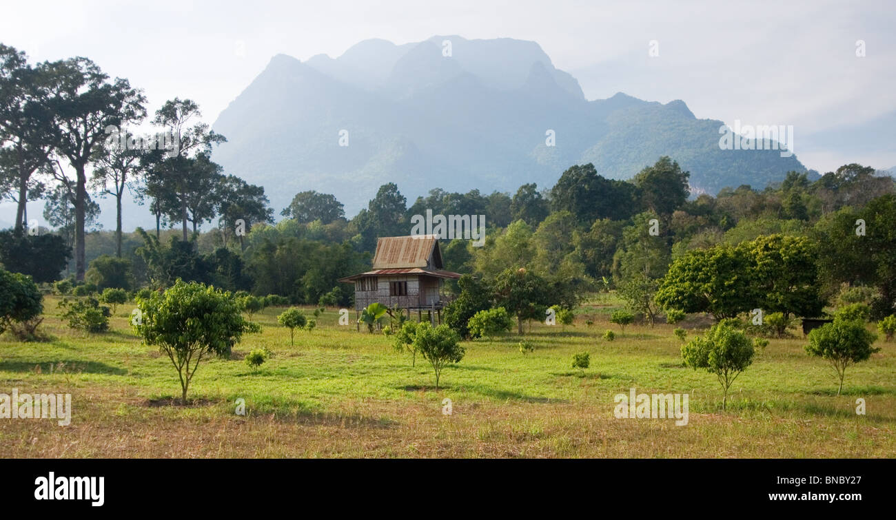 Traditionelle Bambushaus auf Stelzen, Nord-Thailand Stockfoto