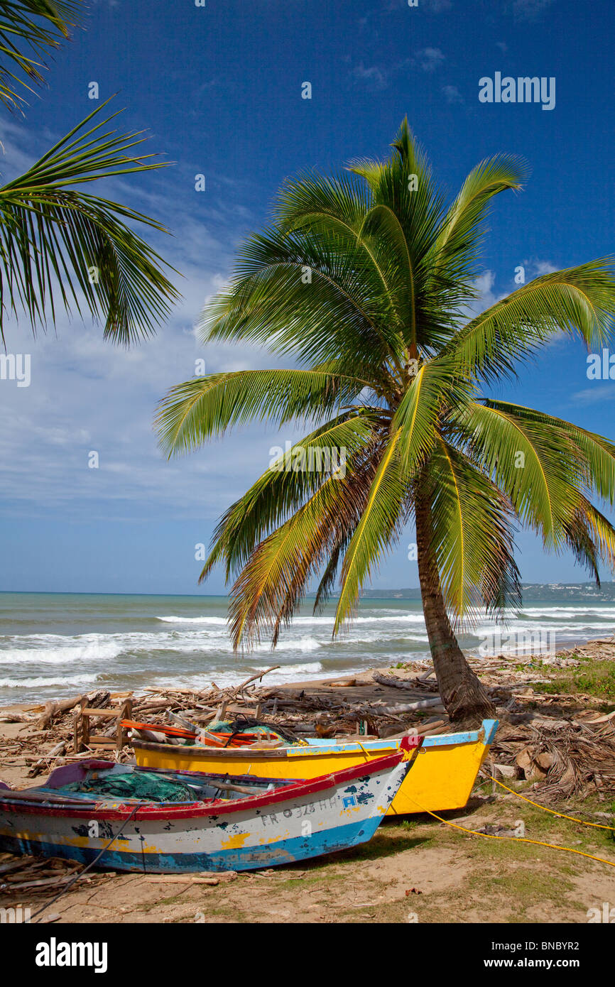 Palmen säumen die Küste des westlichen Puerto Rico in der Nähe von Rincon. Stockfoto