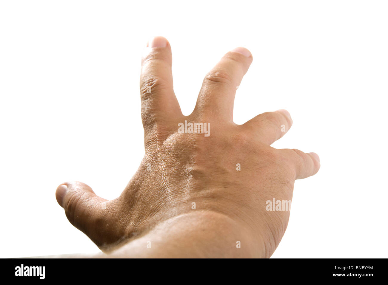 Hand, die auf weißem Hintergrund Stockfoto