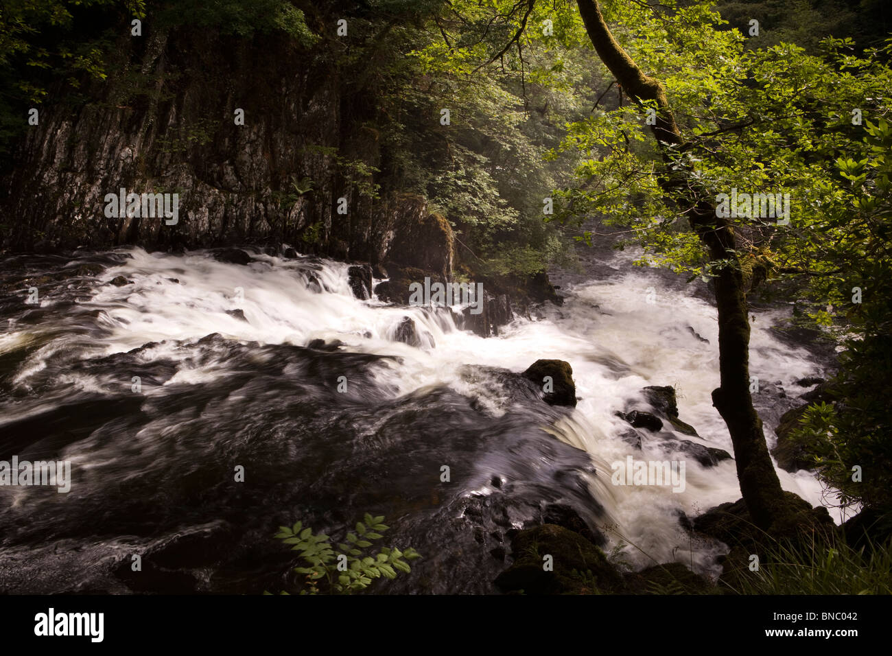 Großbritannien, Wales, Conway, Betws-y-Coed, Swallow Falls auf Afon Llygwy Stockfoto