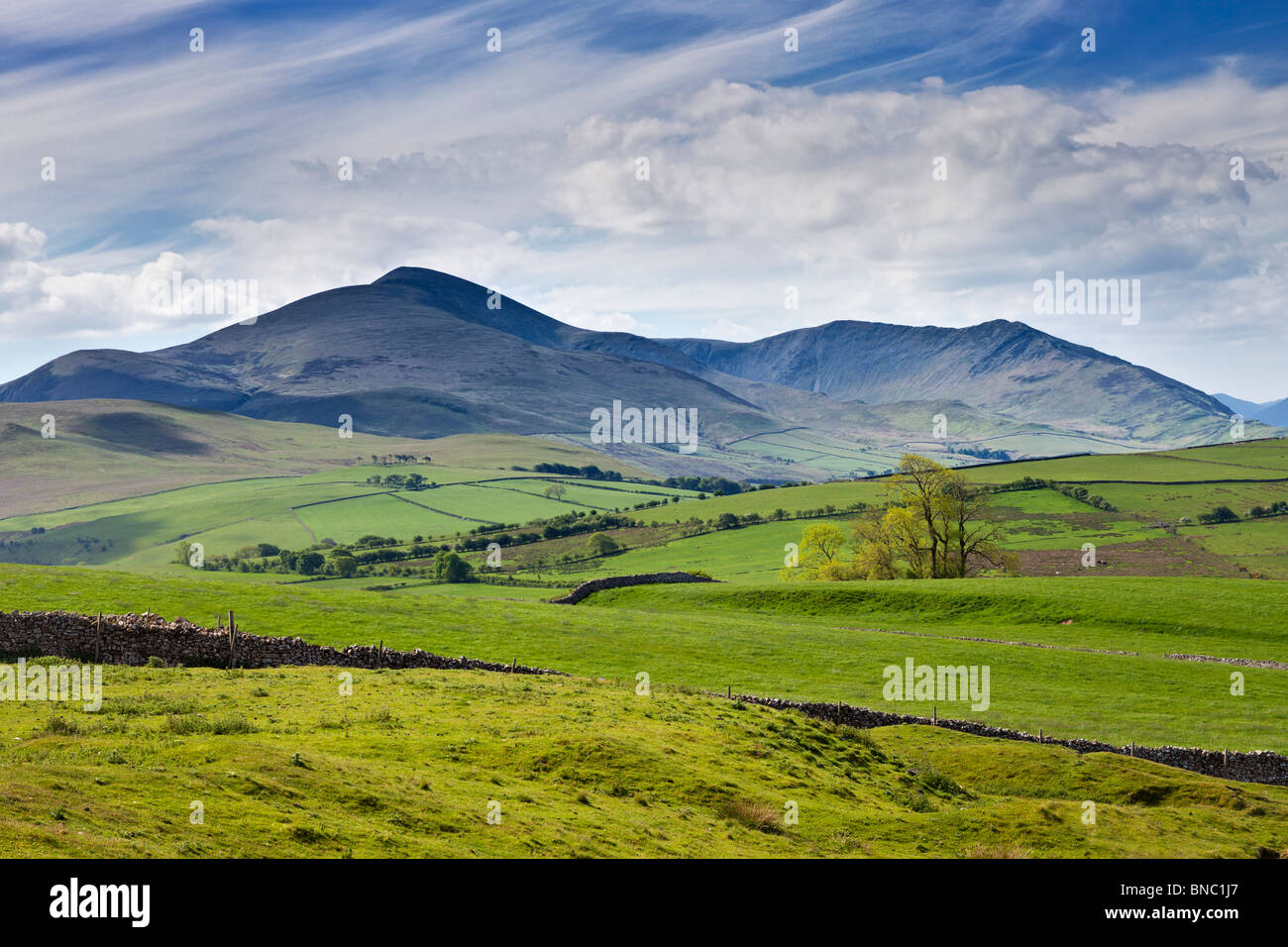 Blick auf Skiddaw, Lake District, Großbritannien - Nordwand des Berges von Uldale Stockfoto