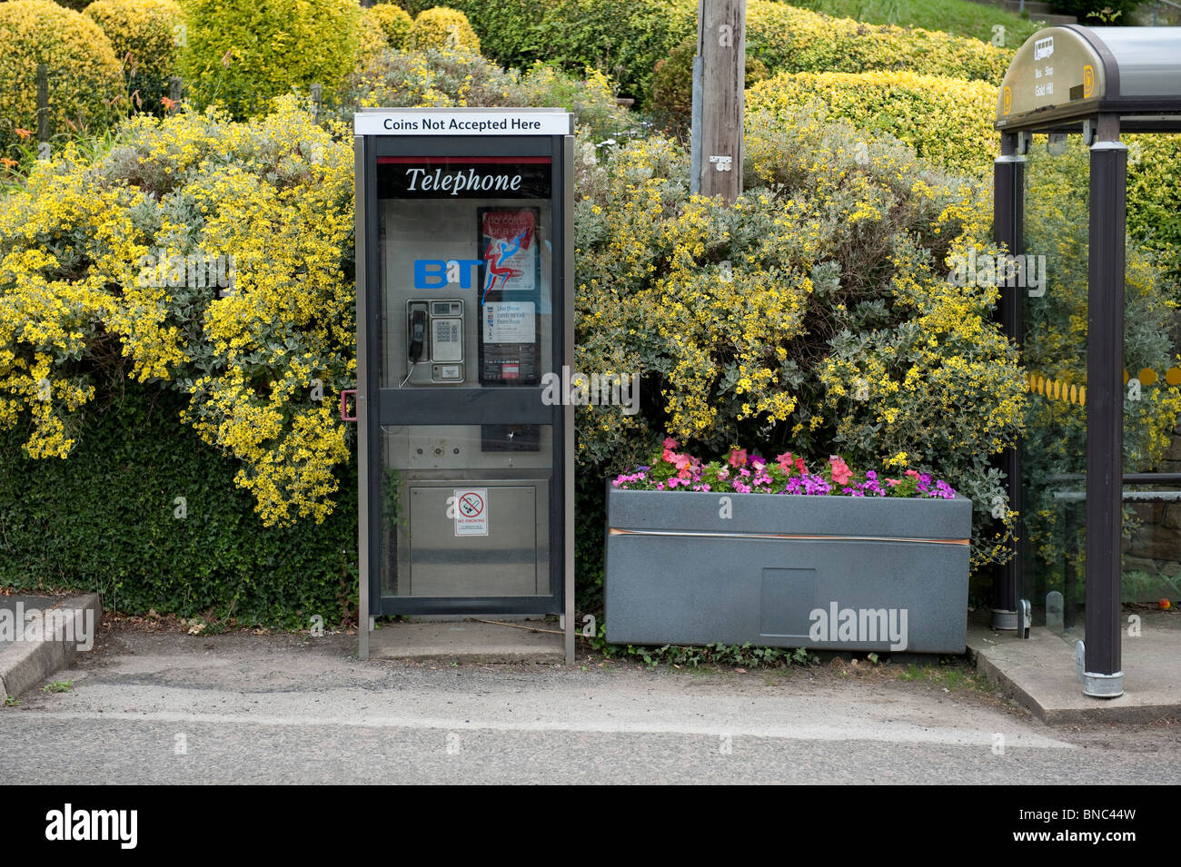 Telefonzelle mit einer Blume-Wanne im Dorf Tansley, Derbyshire. Stockfoto