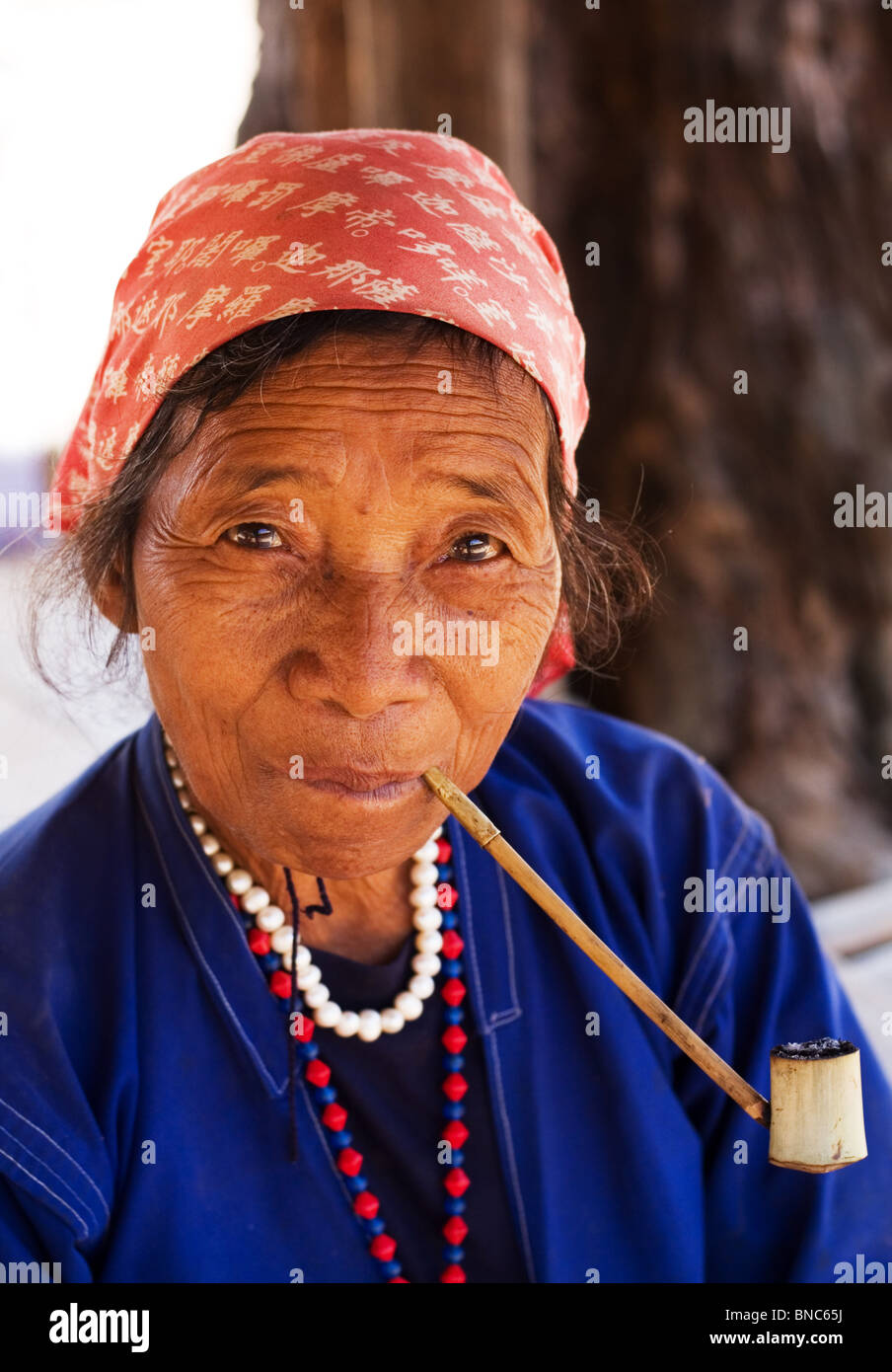 Alten Thai-Frau raucht eine Pfeife, Tha Ton, Provinz Chiang Mai, Thailand Stockfoto