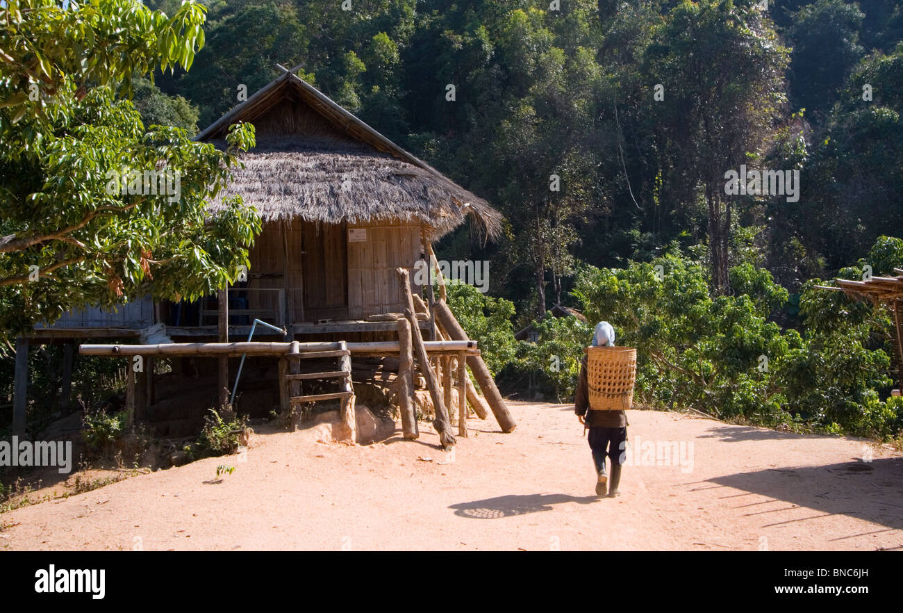 Frau zu Fuß mit einem Korb auf dem Rücken, Tha Ton, Provinz Chiang Mai, Thailand Stockfoto