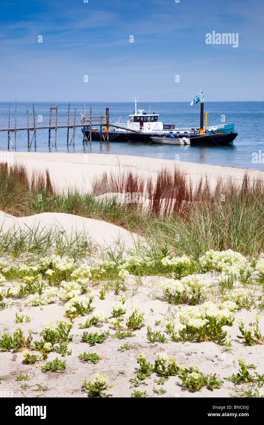 Reddingboot; in der Nähe von De Cocksdorp; Texel; Niederlande Stockfoto