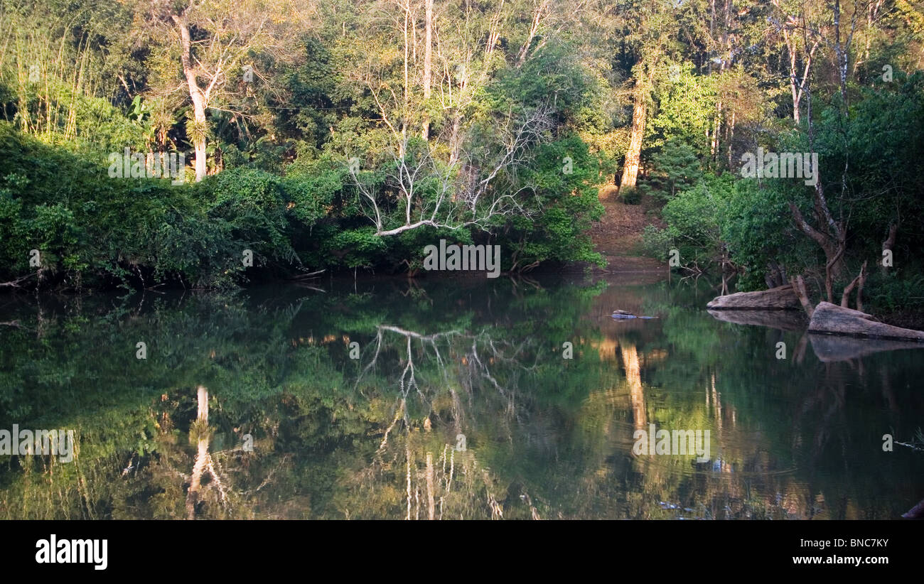 Fluss in Thung Salaeng Luang Nationalpark, Thailand Stockfoto