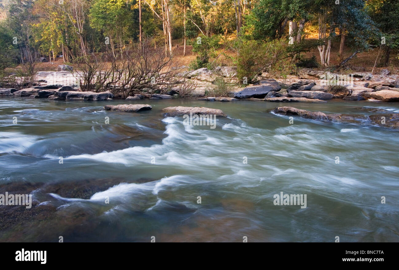 Fluss in Thung Salaeng Luang Nationalpark, Thailand Stockfoto