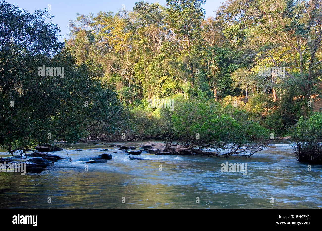 Fluss in Thung Salaeng Luang Nationalpark, Thailand Stockfoto