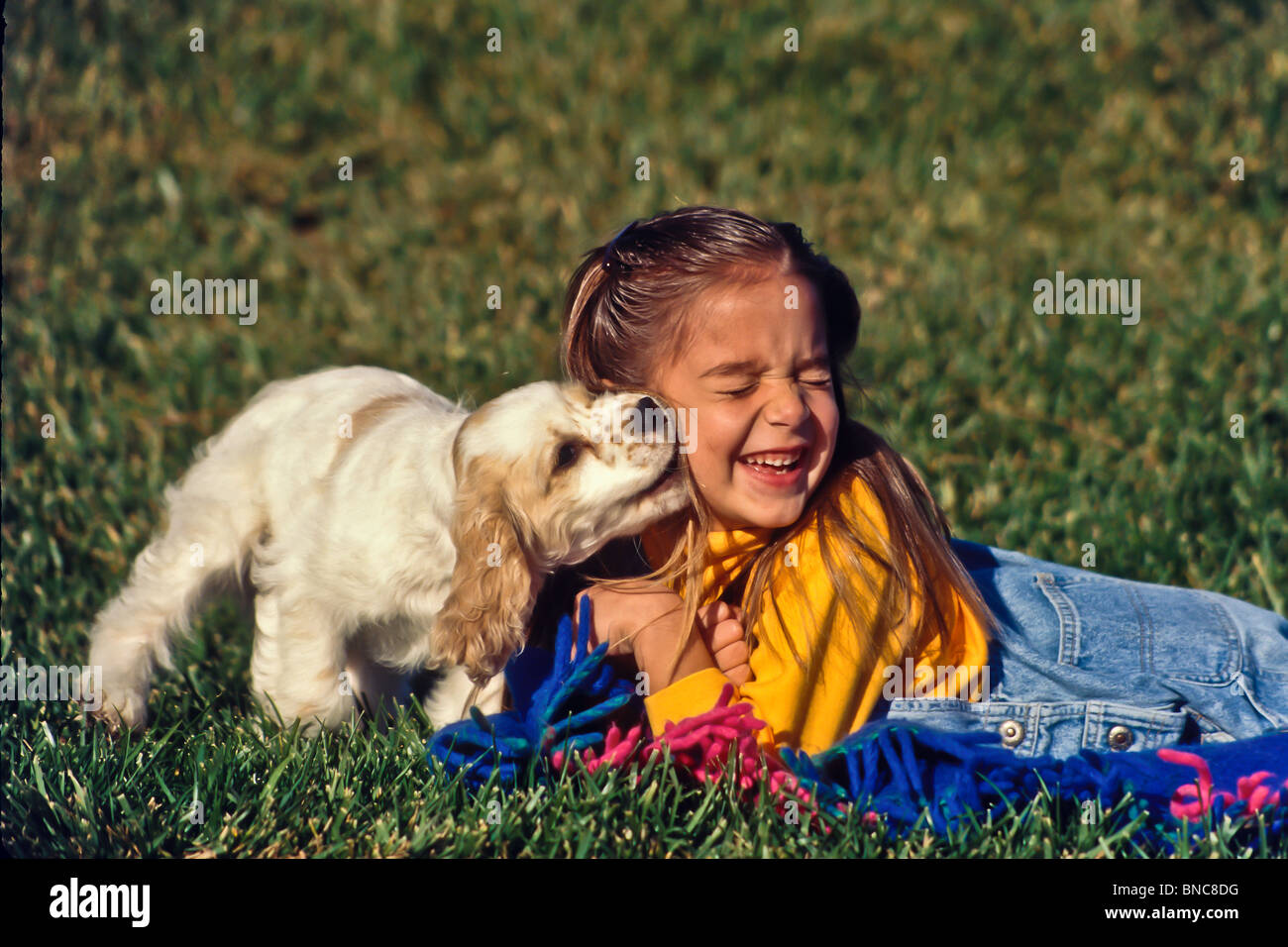 5-6 Jahr Jahre alt Kind Kinder Spaß beim Spielen mit Hund Mädchen verspielter Welpe Hund lecken Gesicht Seite Profil ansehen vorne HERR © Myrleen Pearson Stockfoto