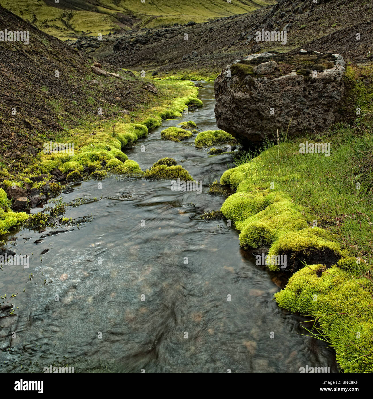 Feder fließt durch Moos bedeckt Lava-Bett, Island Stockfoto