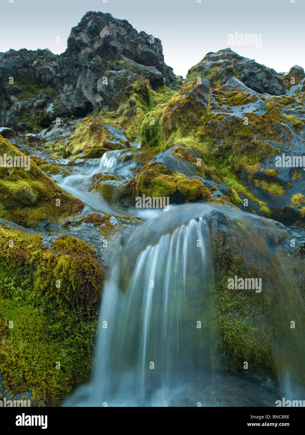 Creek unter Moos bedeckt Lava im isländischen Hochland, Island Stockfoto