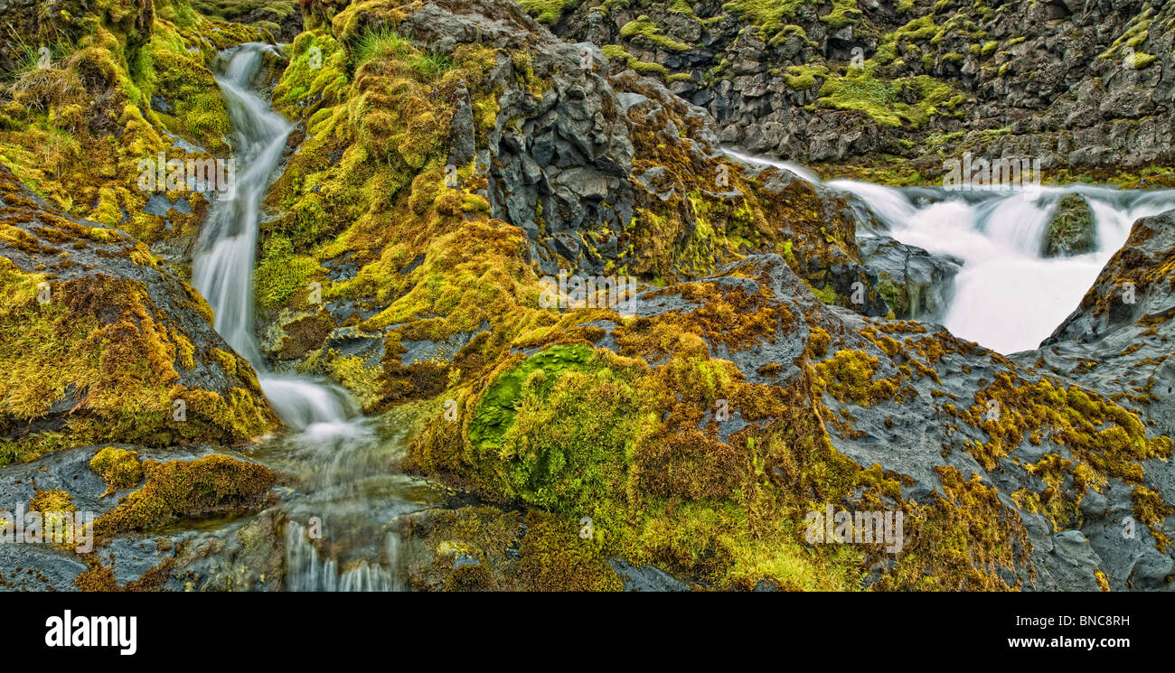 Creek unter Moos bedeckt Lava im isländischen Hochland, Island Stockfoto