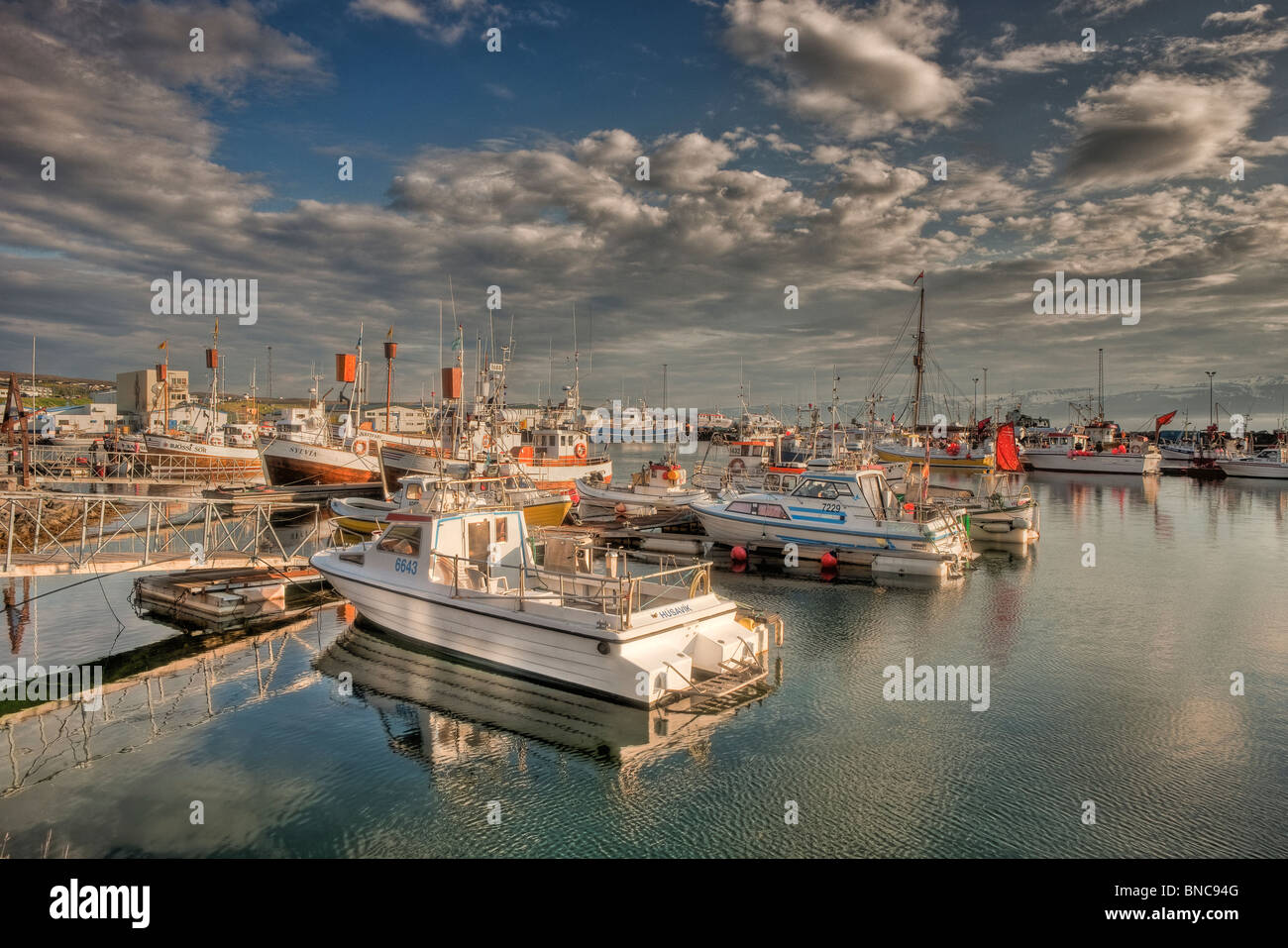 Husavik, Hafen, Island Stockfoto